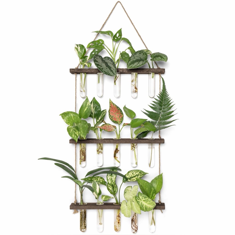 Plant Propagation Station